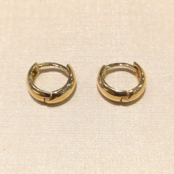 Brinco Argola Pequeno