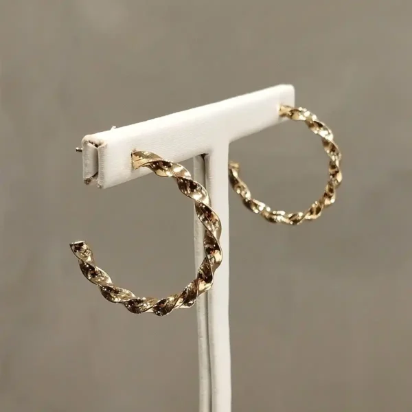 Brinco Argola Torcido - Image 3